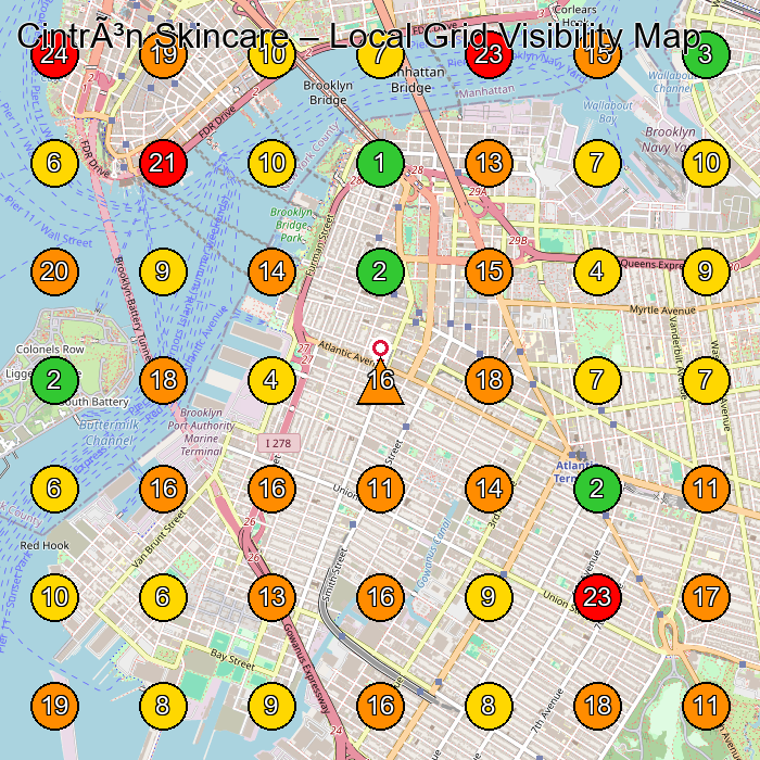 Cintrón Skincare Facial Spa GeoGrid ranking map for Brooklyn NY